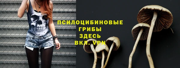 мдпв Заволжье