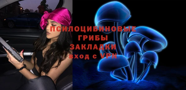 МДПВ Заволжск
