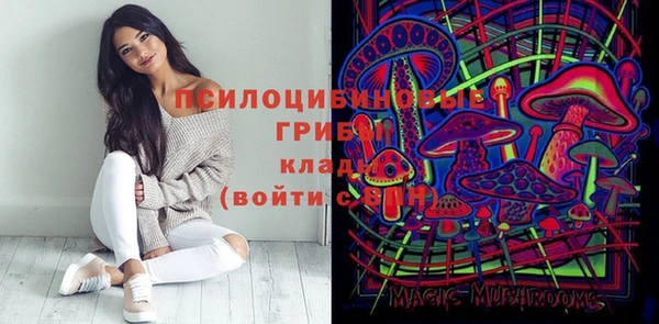 мдпв Заволжье