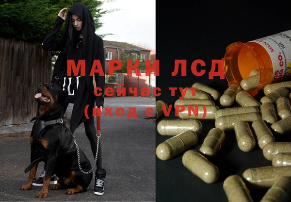 МДПВ Заволжск