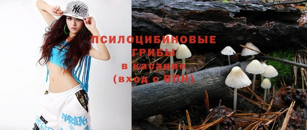 МДПВ Заволжск