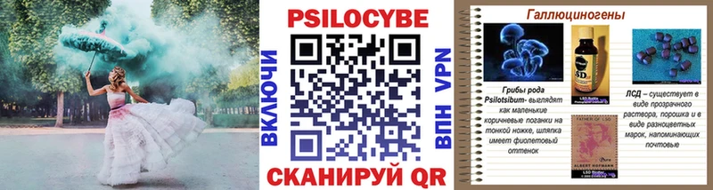 Галлюциногенные грибы Psilocybe Оханск