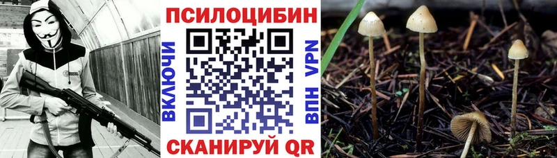 Псилоцибиновые грибы прущие грибы  Купить где  Оханск 